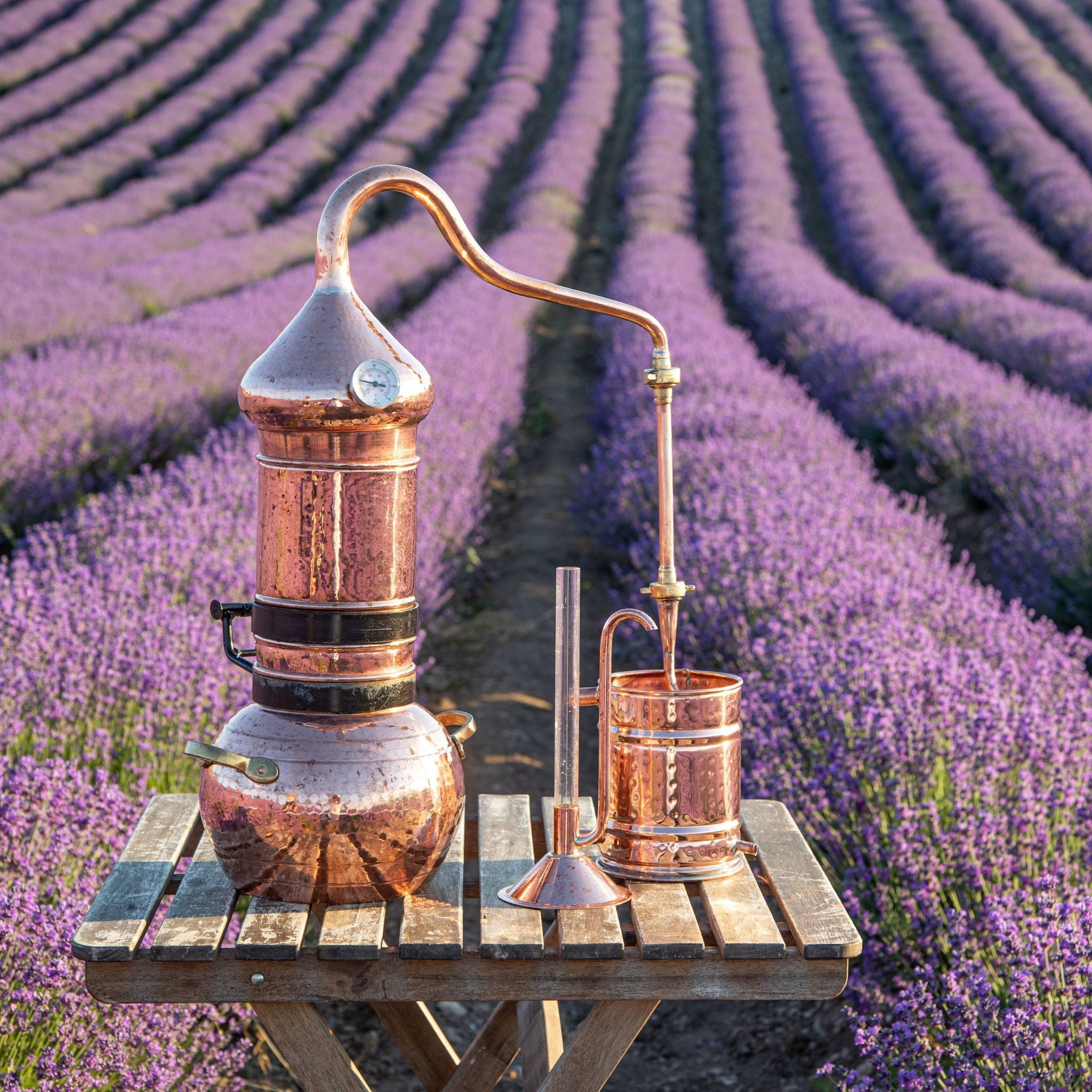 Natürliche Pflege für schönes Haar: Bio-Hydrolate & Bavaria Haarseife im perfekten Zusammenspiel