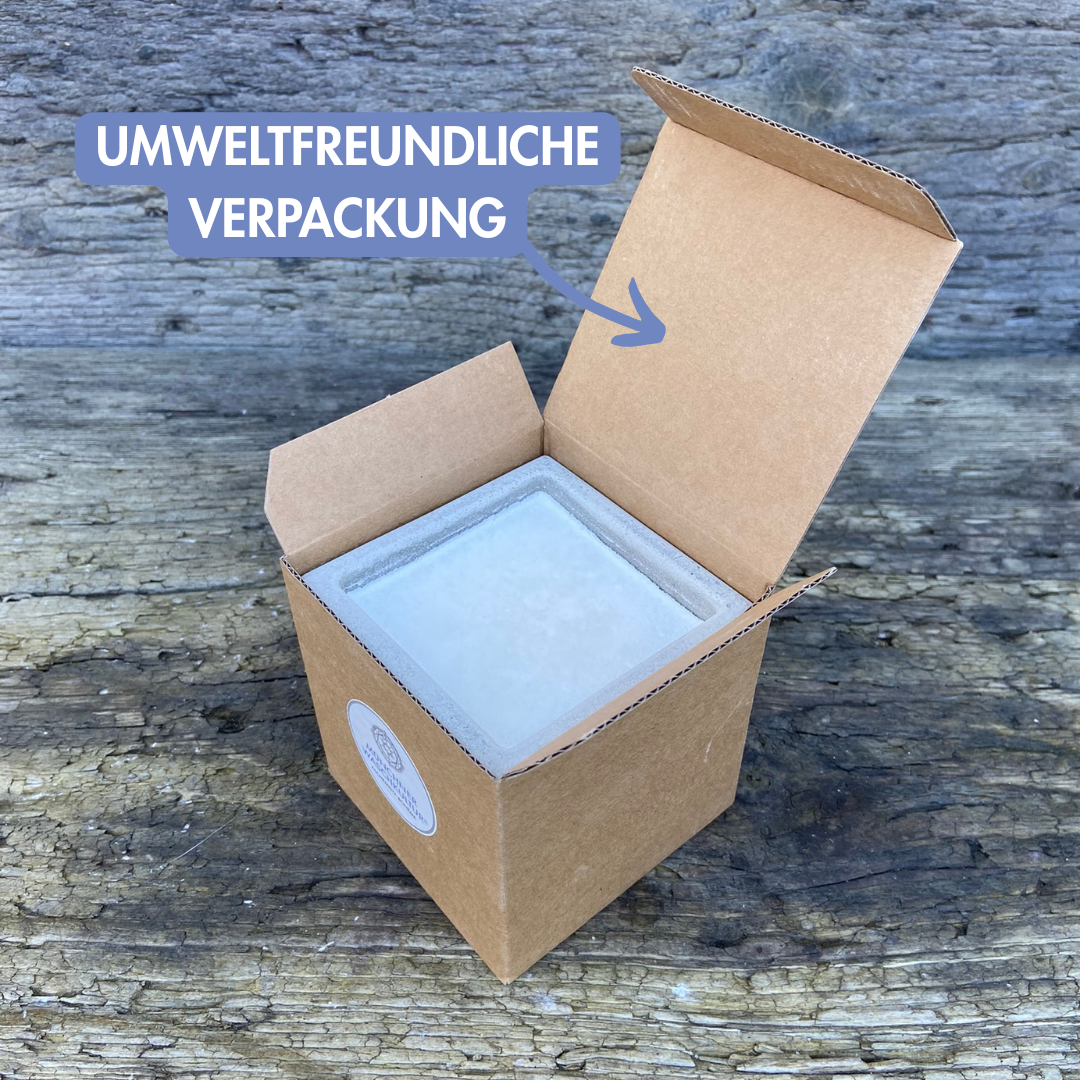 VEGA-SAUBA Spül- und Haushaltsseife (vegan, palmölfrei)