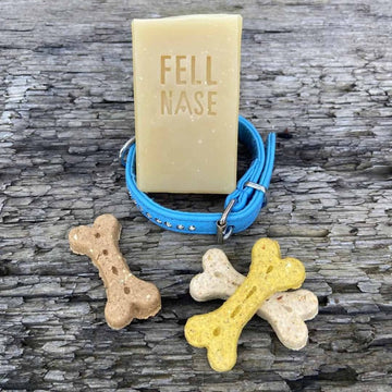 files/hundeseife-fellnase-die-alternative-zum-hundeshampoo.jpg
