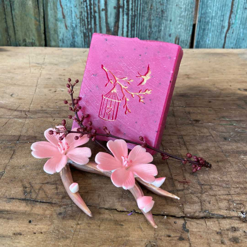 Japanischer Frühling Mangobutter-Kirschblüte mit Bio-Mohn-Peeling