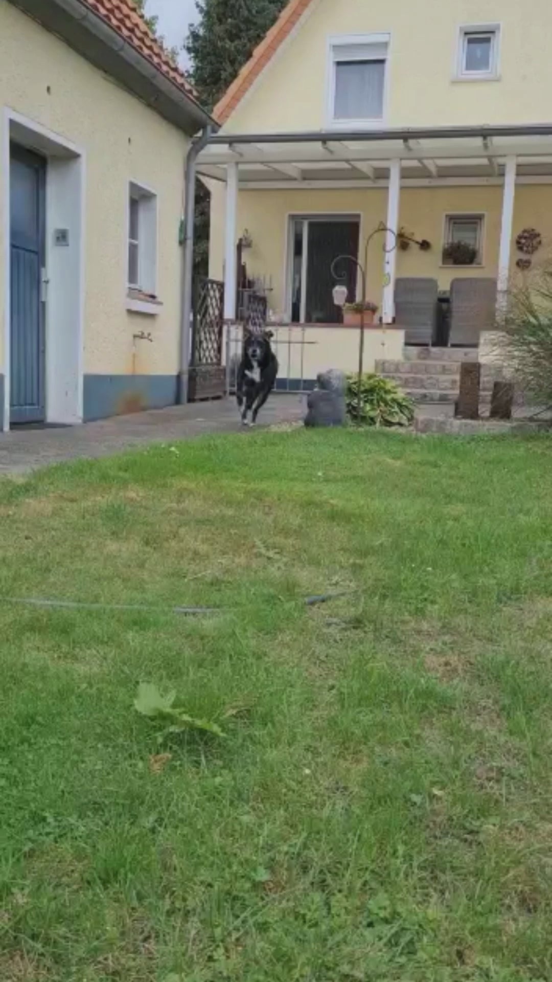 Video laden: 